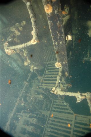The Pangnan Wreck (Koh Tao, Samui Archipelago)